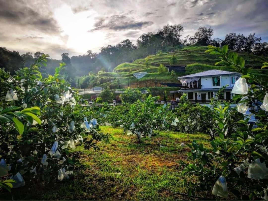 I Do Farmstay บูกิต เมอร์ตาจัม ภายนอก รูปภาพ